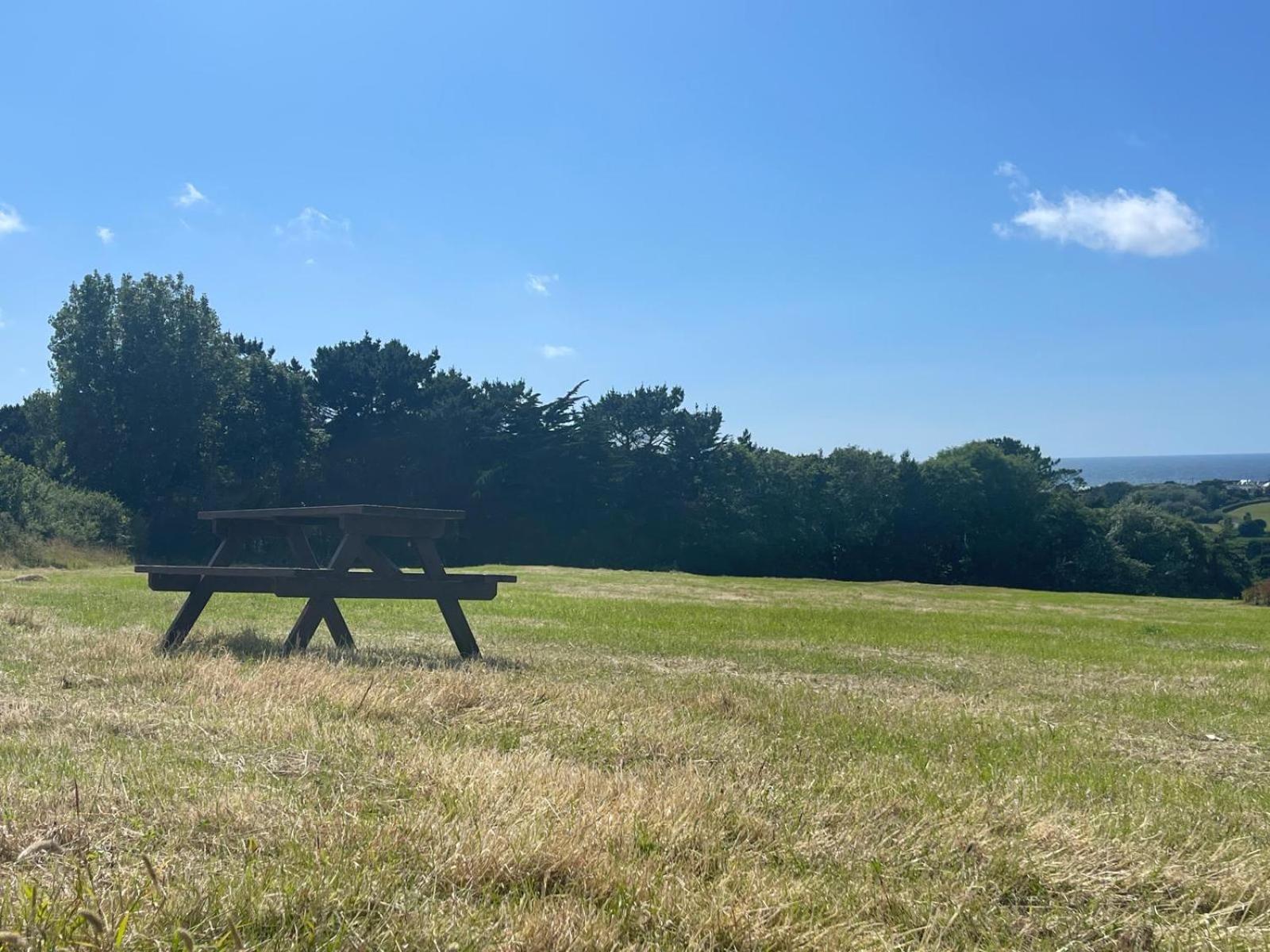 Lovely 3 Bedroom Holiday Cottage Nr Bude Eksteriør bilde